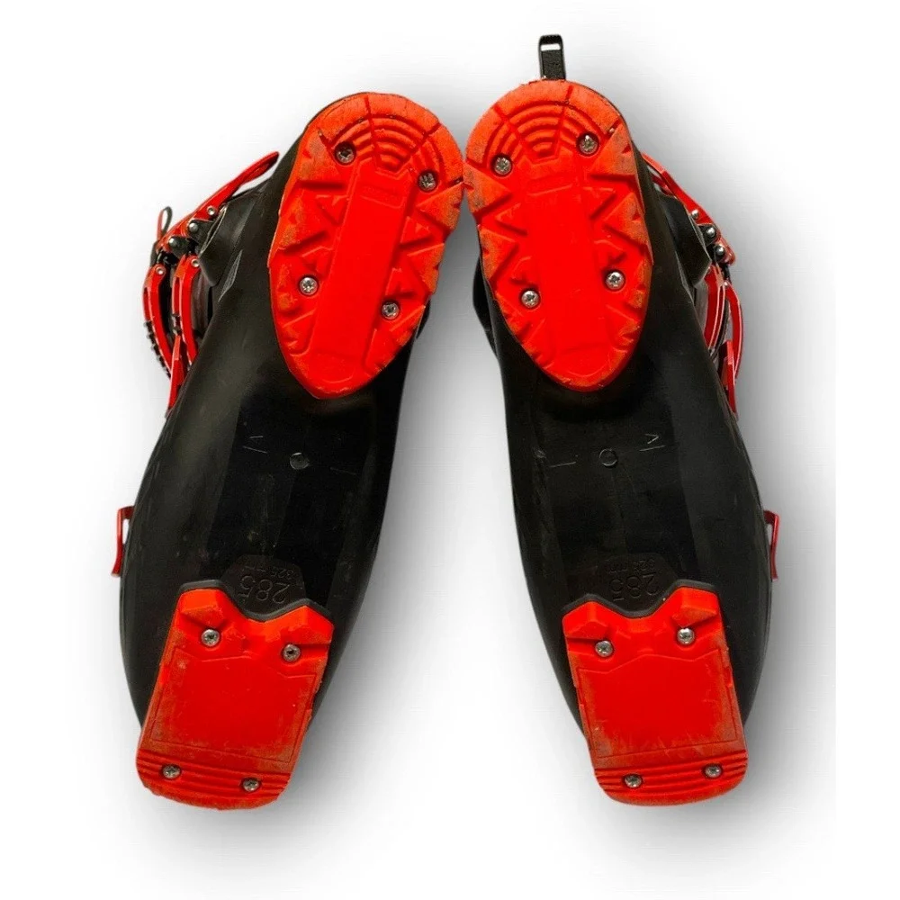 Rossignol great